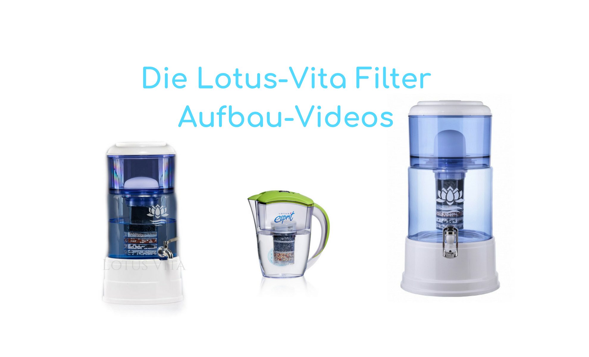 Lotus-Vita Filter Videos
